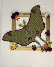 /userimg/oZYmR/Mischa 10.jpg